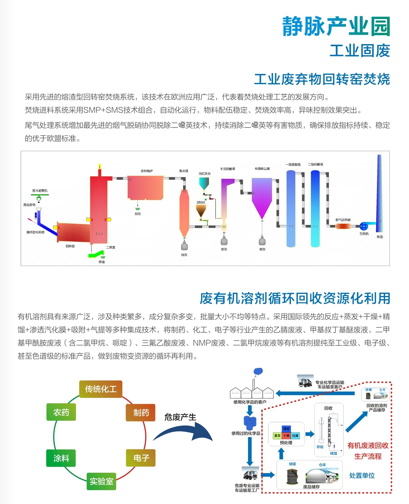 静脉6.jpg